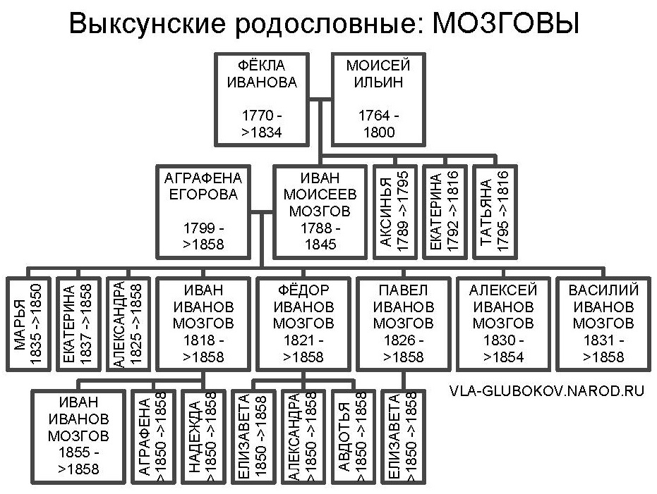 vrmozg