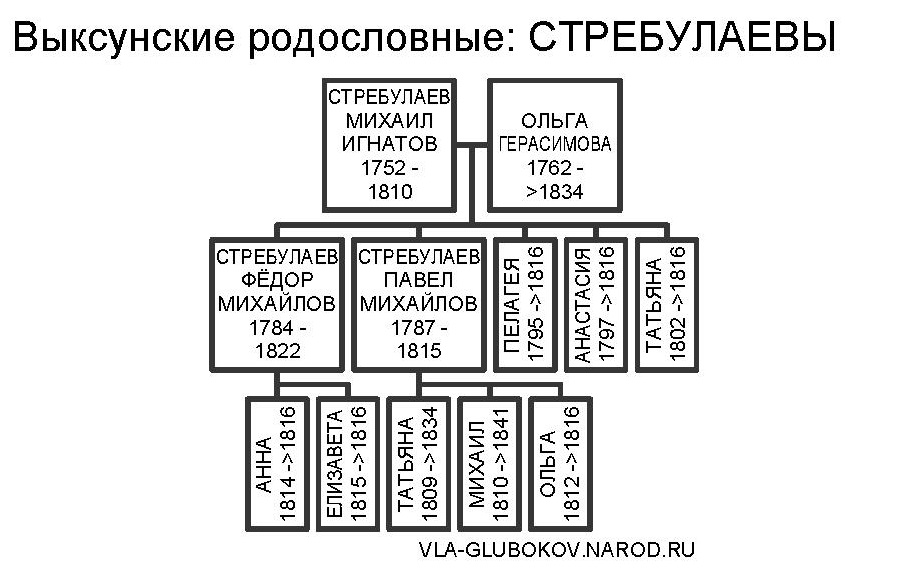 vrstreb